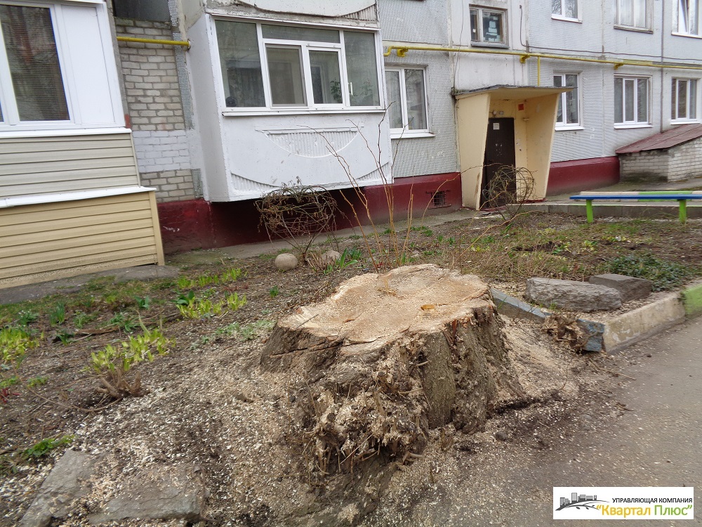 Спил дерева по улице Крахмалева 6а - Квартал Плюс