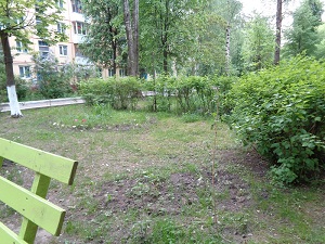 Скос травы на придомовой территории около дома