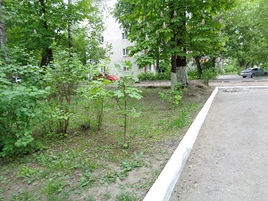 Покраска бордюров и побелка деревьев на придомовой территории около дома
