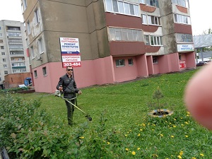 Скос травы по улице Красноармейская 174