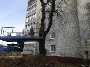Кронирование, обрезка деревьев около МКД по улице Спартаковская 120-а