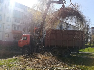 Уборка и вывоз веток после кронирования с придомовой территории дома по улице Спартаковская 120-а.