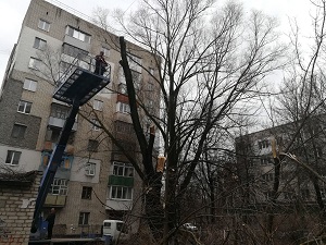 Кронирование, обрезка деревьев около МКД пр-т Станке Димитрова 53