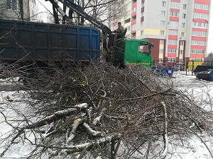 Кронирование деревьев около дома по улице Спартаковская 114
